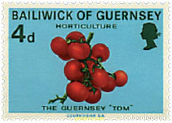 Timbres: 645799 MNH GUERNSEY 1970 AGRICULTURA Y HORTICULTURA