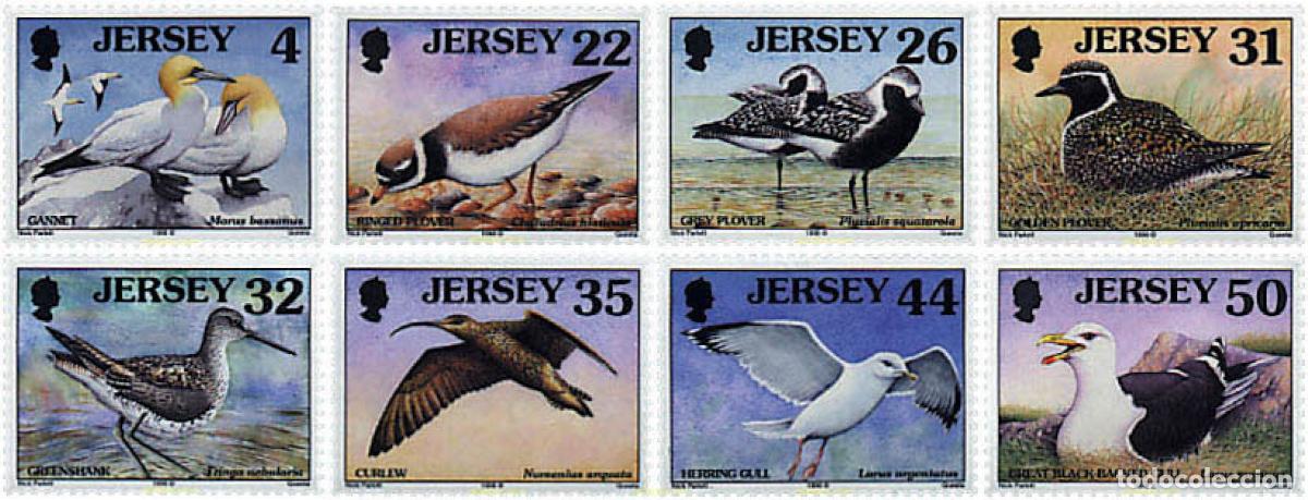 Sellos: 33903 MNH JERSEY 1998 AVES MARINAS