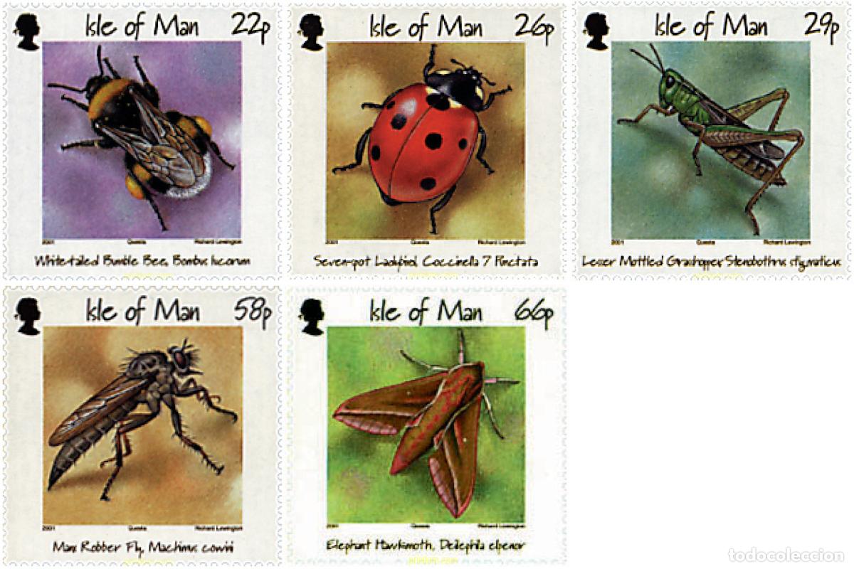Sellos: 76378 MNH MAN 2001 INSECTOS