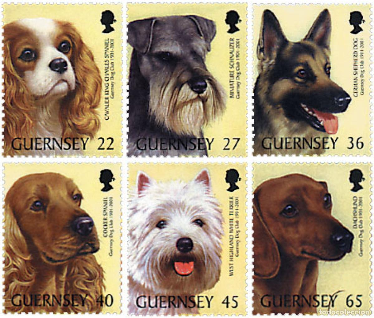 Sellos: 74845 MNH GUERNSEY 2001 CENTENARIO DEL CLUB CANINO DE GUERNSEY