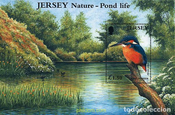 Sellos: 81225 MNH JERSEY 2001 EL AGUA. TESORO NATURAL