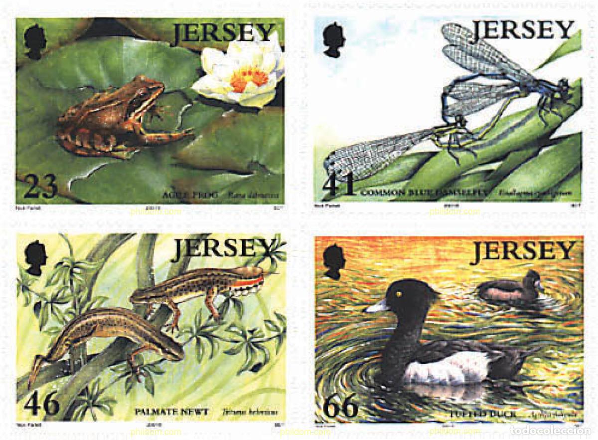 Sellos: 217634 MNH JERSEY 2001 EUROPA CEPT. EL AGUA, RIQUEZA NATURAL