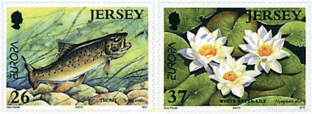 Sellos: 312811 MNH JERSEY 2001 EUROPA CEPT. EL AGUA, RIQUEZA NATURAL