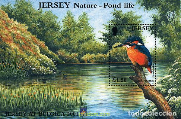 Sellos: 81226 MNH JERSEY 2001 BELGICA 2001. EXPOSICION FILATELICA INTERNACIONAL