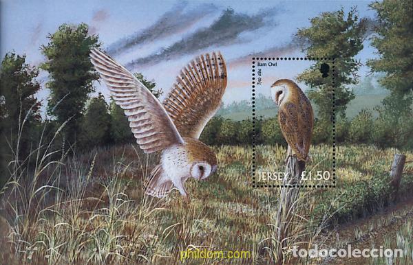 Sellos: 81228 MNH JERSEY 2001 AVES RAPACES NOCTURNAS