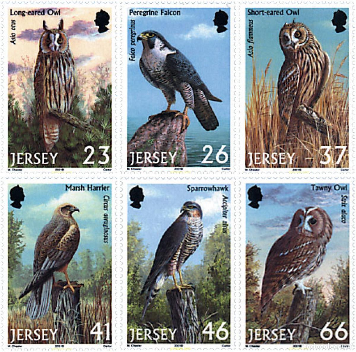 Sellos: 217789 MNH JERSEY 2001 AVES RAPACES