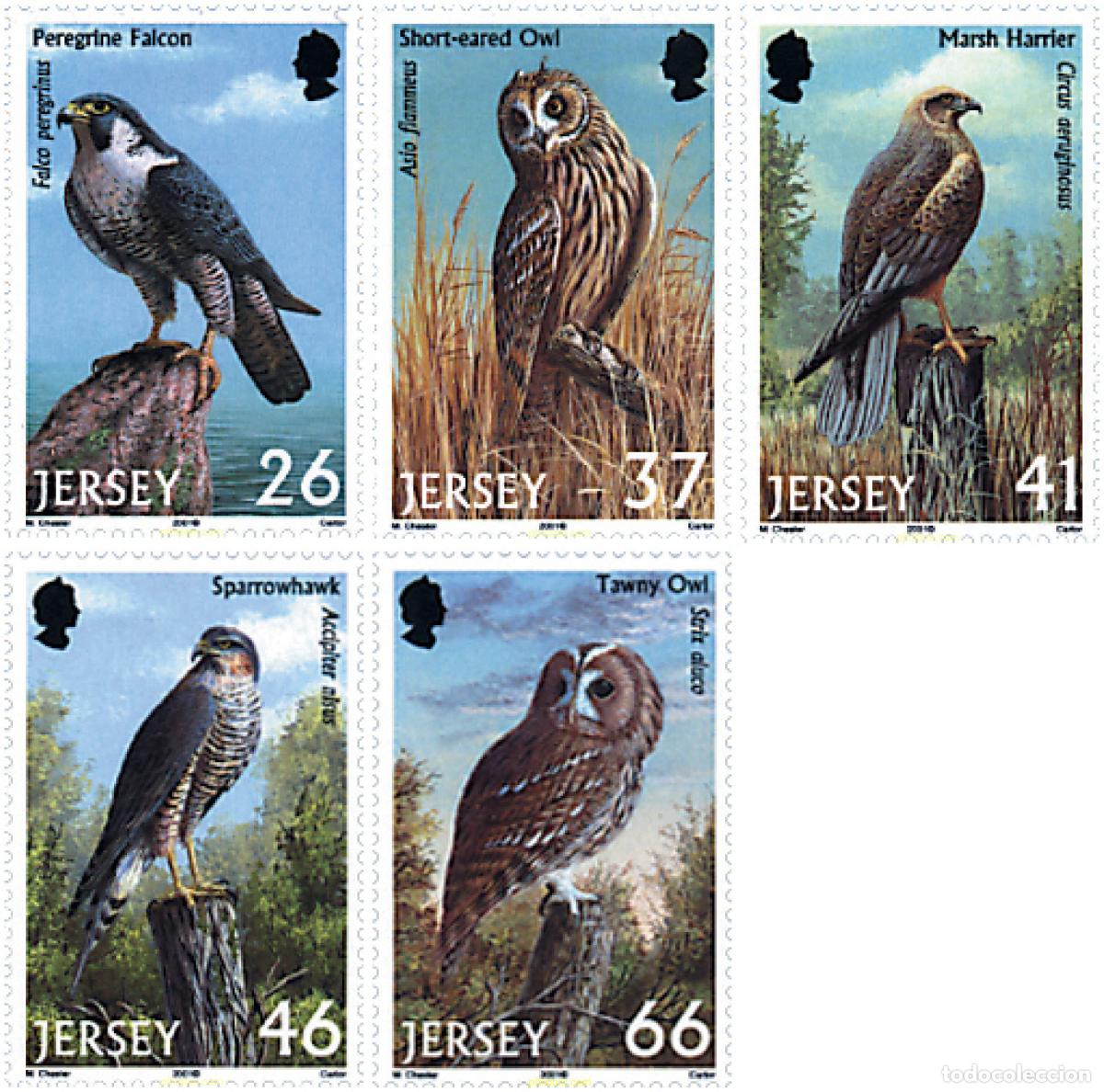 Sellos: 315809 MNH JERSEY 2001 AVES RAPACES