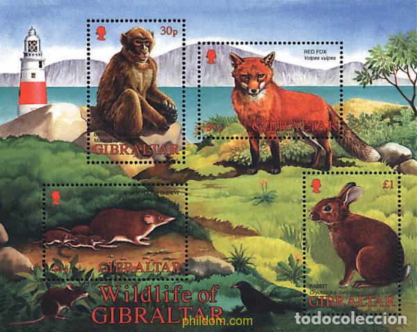Sellos: 84407 MNH GIBRALTAR 2002 FAUNA