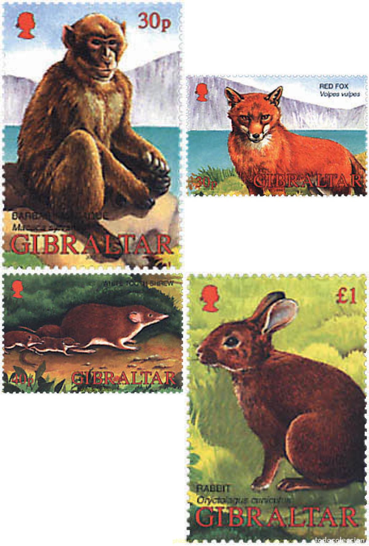 Sellos: 84406 MNH GIBRALTAR 2002 FAUNA