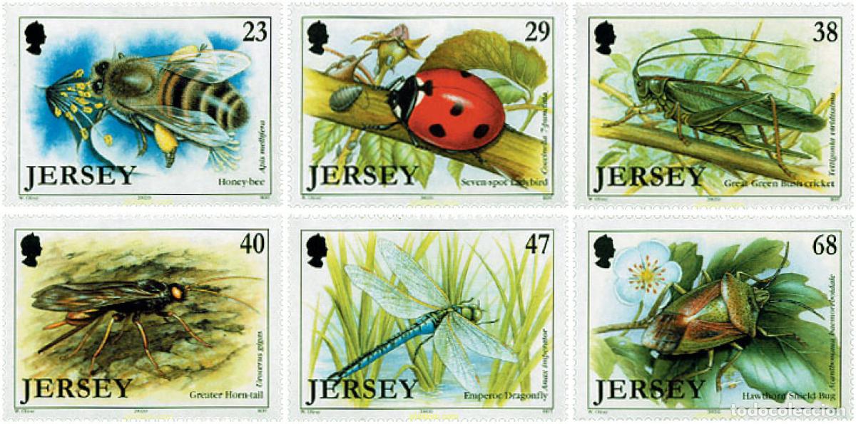 Sellos: 99127 MNH JERSEY 2002 INSECTOS - Foto 1