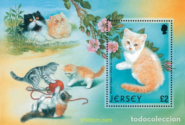 Sellos: 103354 MNH JERSEY 2002 GATOS