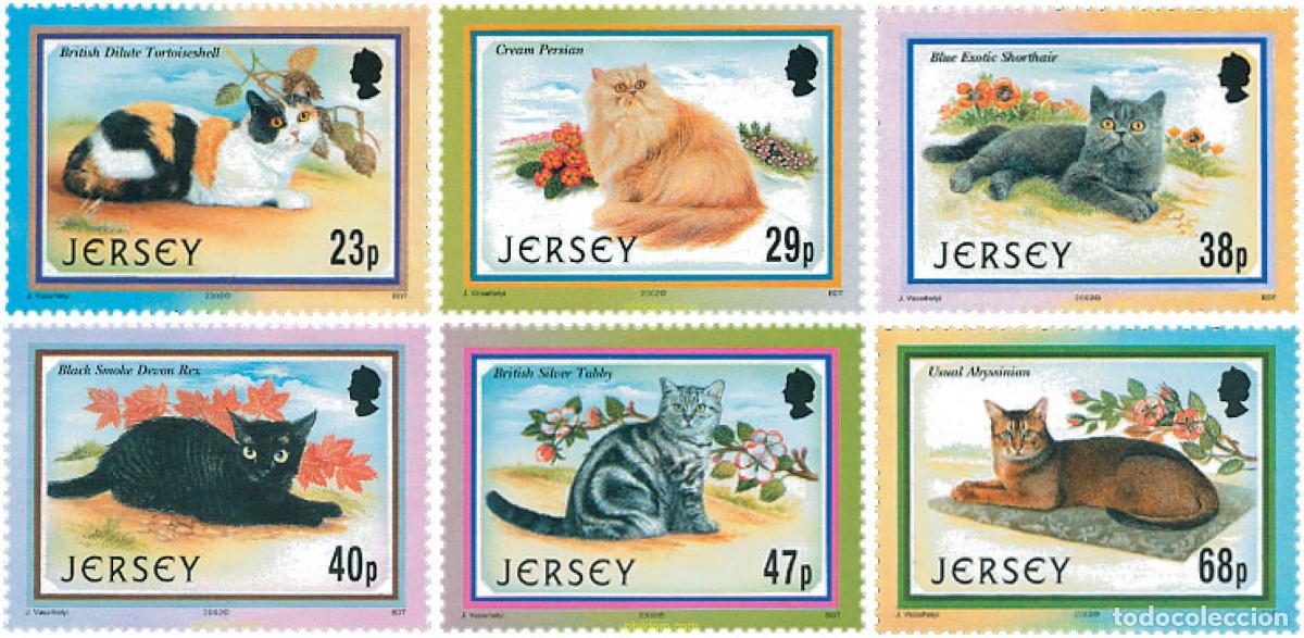 Sellos: 103352 MNH JERSEY 2002 GATOS
