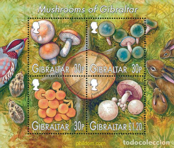 Sellos: 124023 MNH GIBRALTAR 2003 SETAS