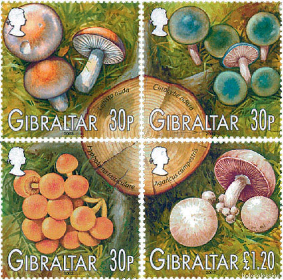 Sellos: 124022 MNH GIBRALTAR 2003 SETAS
