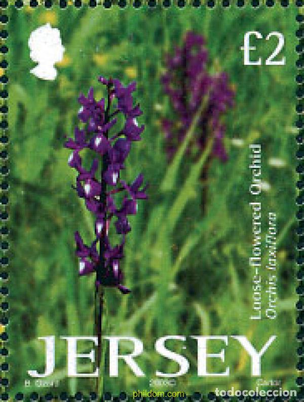 Sellos: 125928 MNH JERSEY 2003 ORQUIDEAS