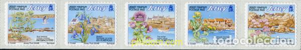 Sellos: 153322 MNH JERSEY 2003 ARRECIFES CORALINOS