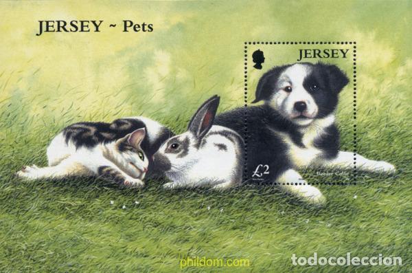 Sellos: 130076 MNH JERSEY 2003 ANIMALES DOMESTICOS