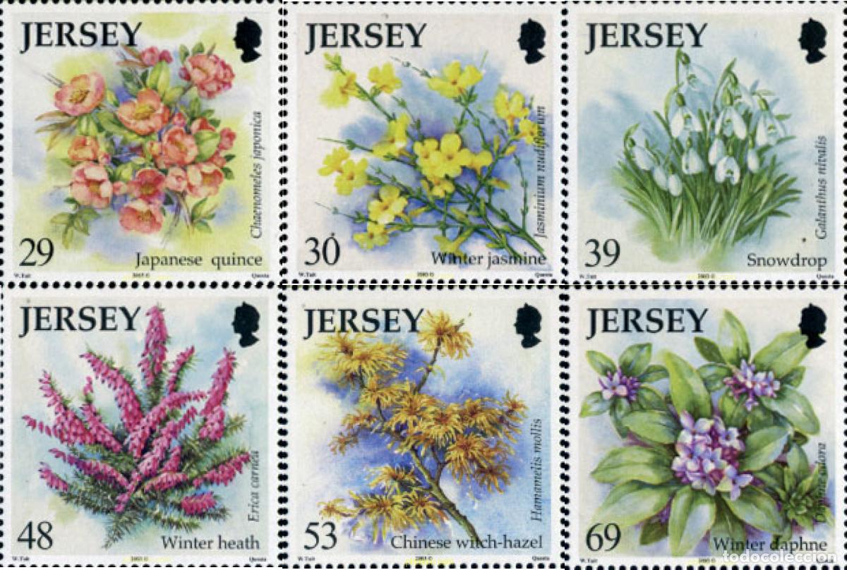 Sellos: 136492 MNH JERSEY 2003 FLORES