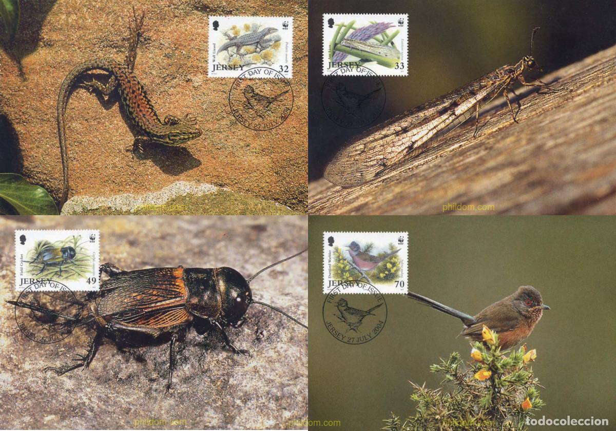 Sellos: 139576 MNH JERSEY 2004 PROTECCION DE LA NATURALEZA. FAUNA DE JERSEY