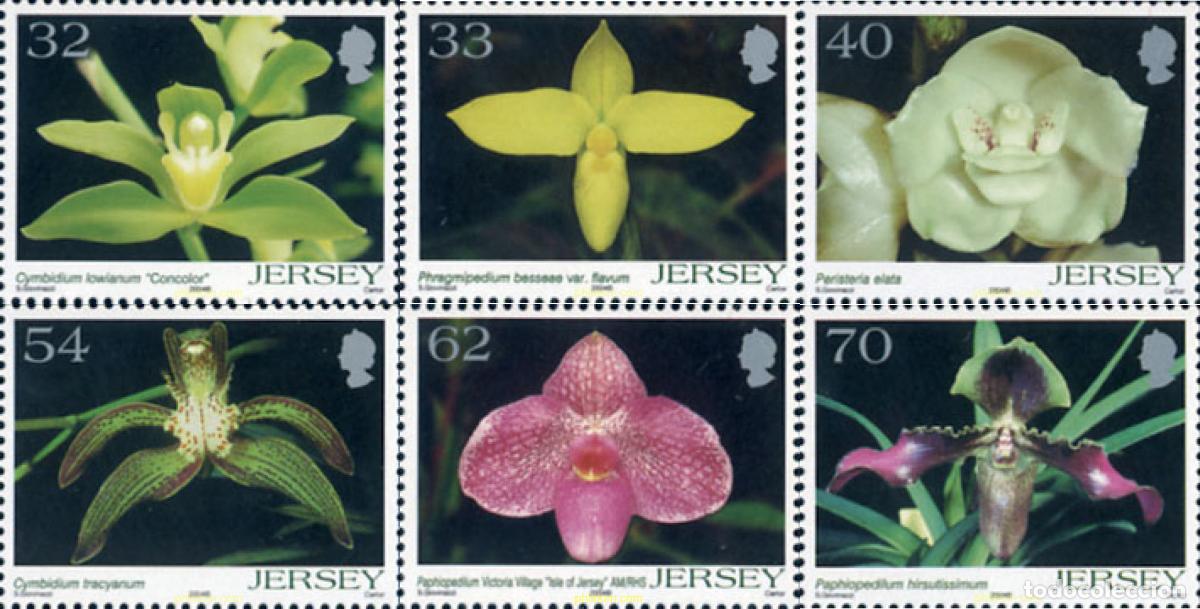 Sellos: 217765 MNH JERSEY 2004 ORQUIDEAS
