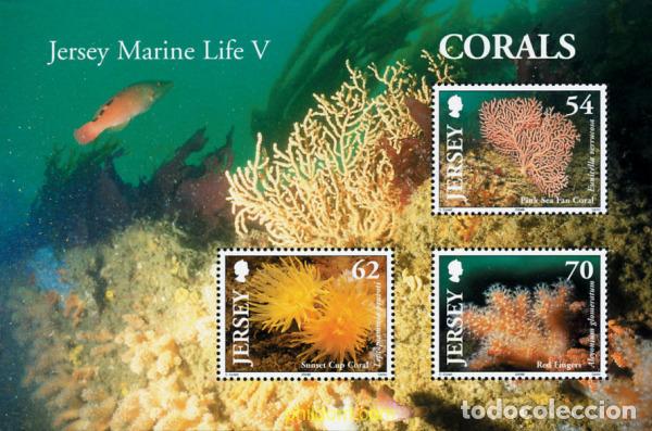 Sellos: 148883 MNH JERSEY 2004 CORALES