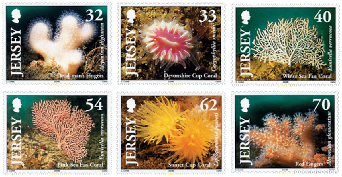 Sellos: 148881 MNH JERSEY 2004 CORALES