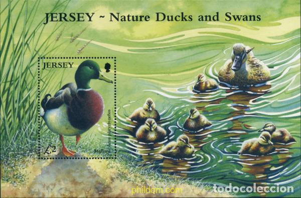 Sellos: 153310 MNH JERSEY 2004 PATOS Y CISNES