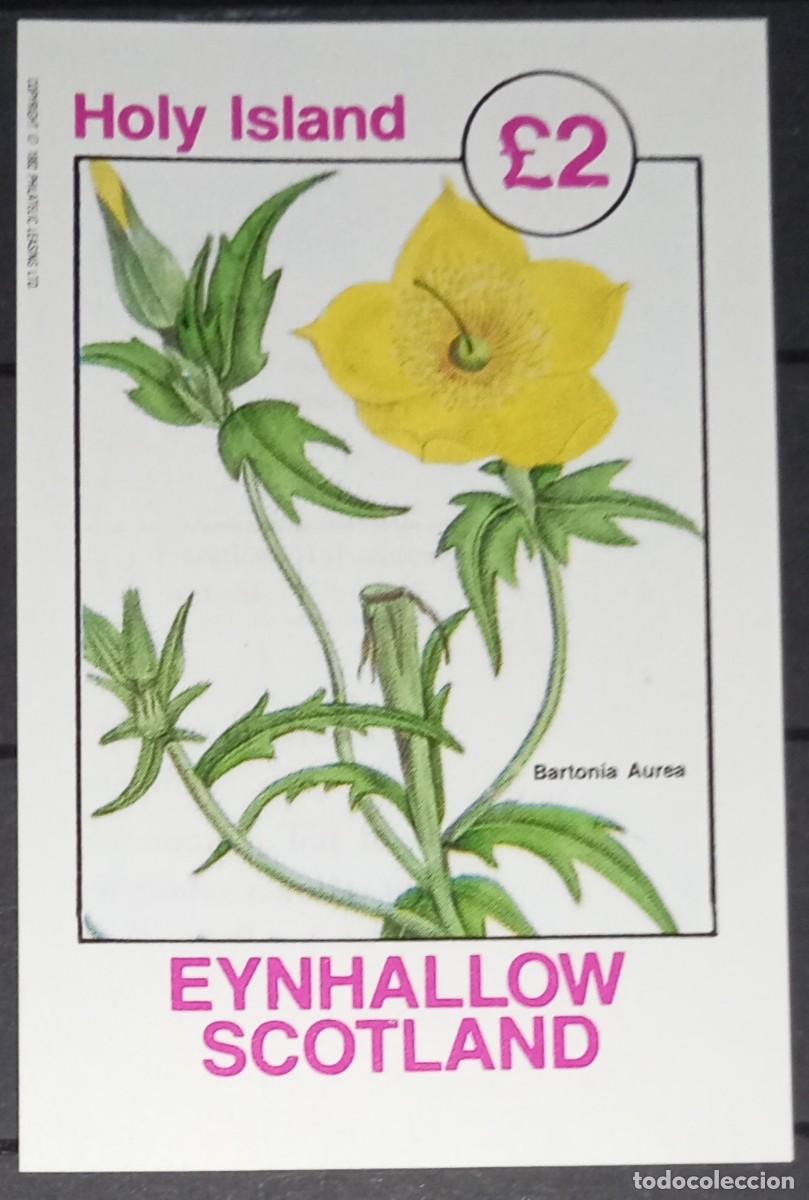 Sellos: GB LOCAL EYNHALLOW 1982 SHEET MNH FLORES FLOWERS FLEURS FIORI BLUMEN