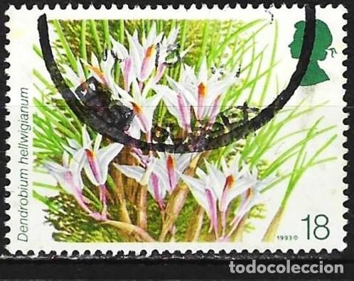 Sellos: Gran Breta&ntilde;a 1996 - Mi 1446 - YT 1665 - Flores : Orquideas