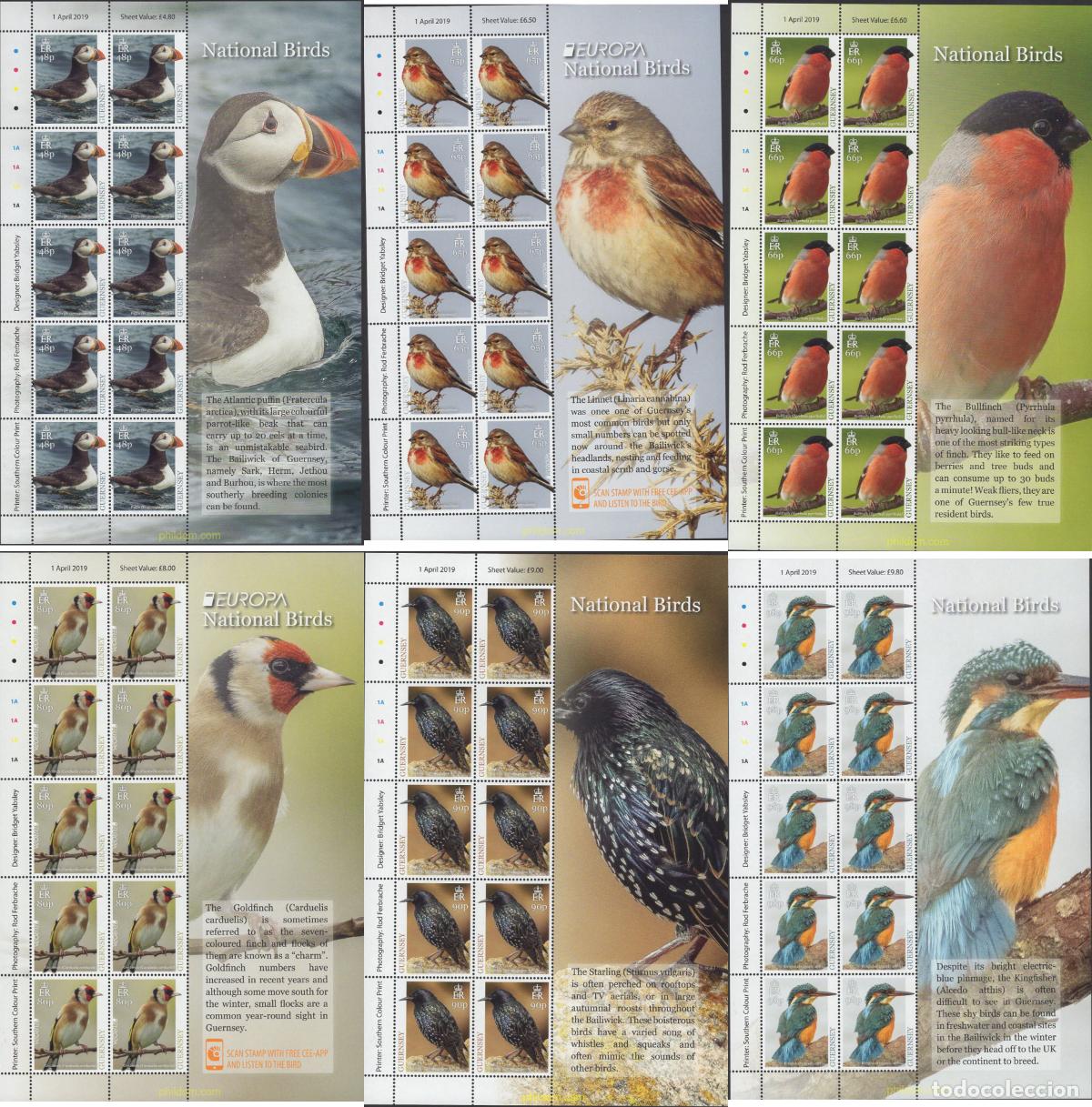 Sellos: 603872 MNH GUERNSEY 2019 EUROPA CEPT 2019 - NATIONAL BIRD