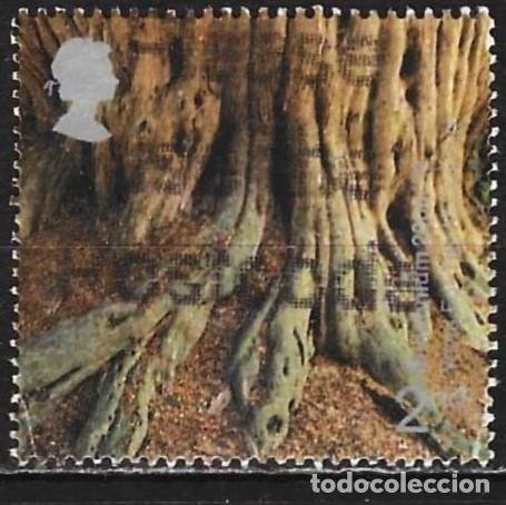Sellos: Gran Breta&ntilde;a 2000 - Mi 1881 - YT 2191 - Ra&iacute;ces de &aacute;rbol