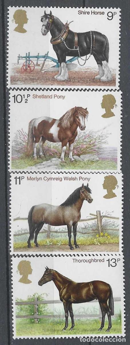 Sellos: GRAN BRETA&Ntilde;A 1978 - FAUNA, CABALLOS BRIT&Aacute;NICOS, S.COMPLETA - MNH**