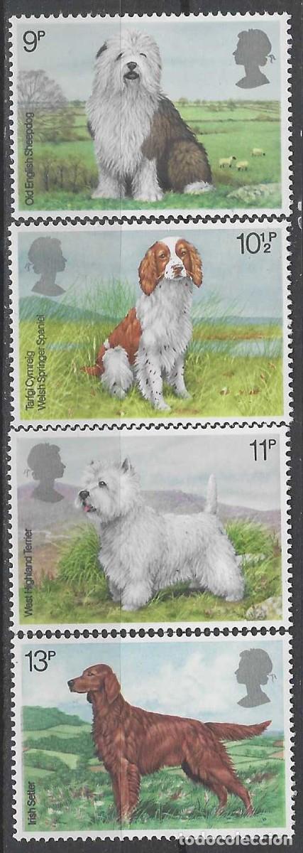 Sellos: GRAN BRETA&Ntilde;A 1979 - FAUNA, EXPOSICI&Oacute;N CANINA, S.COMPLETA - MNH**