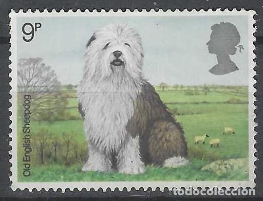Sellos: GRAN BRETA&Ntilde;A 1979 - FAUNA, EXPOSICI&Oacute;N CANINA, PASTOR INGL&Eacute;S - MNH**