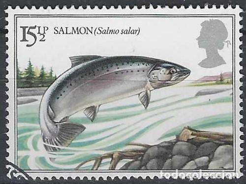 Sellos: GRAN BRETA&Ntilde;A 1983 - FAUNA, PECES DE R&Iacute;O, SALM&Oacute;N - USADO