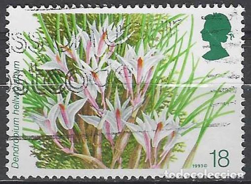 Sellos: GRAN BRETA&Ntilde;A 1993 - 14&ordf; CONF. MUNDIAL SOBRE ORQU&Iacute;DEAS, DENDROBIUM HELLWIGIANUM - USADO