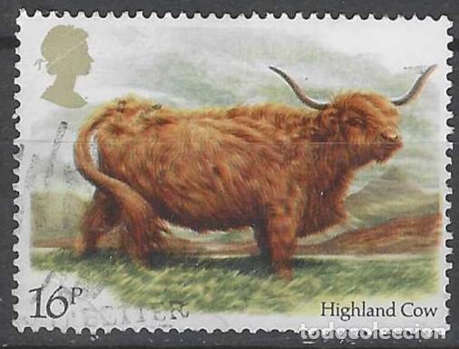 Sellos: GRAN BRETA&Ntilde;A 1984 - FAUNA, VACA DE LAS TIERRAS ALTAS - USADO