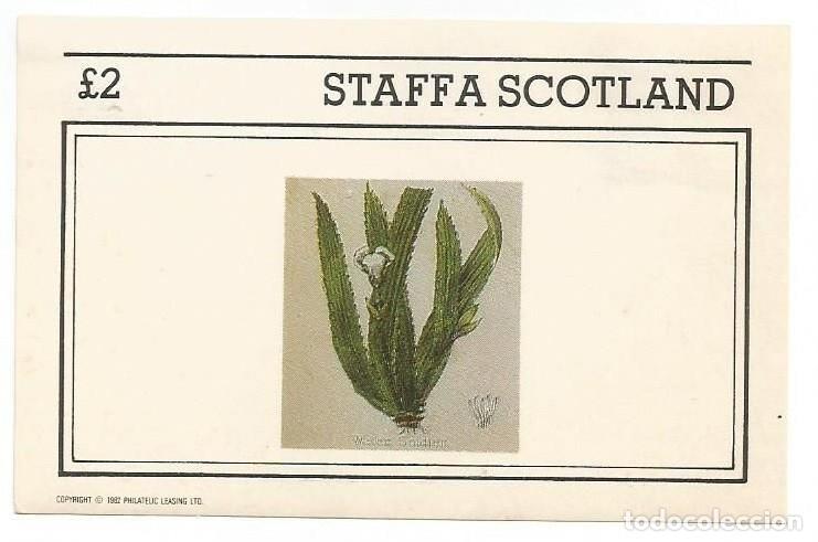Sellos: GB LOCAL STAFFA 1982 SHEET MNH FLORES FLOWERS FLEURS FIORI BLUMEN PLANTAS PLANTS PLANTES PFLANZEN