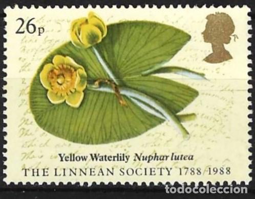 Sellos: Gran Breta&ntilde;a 1988 - Mi 1132 - YT 1294 - Flores : Nen&uacute;far