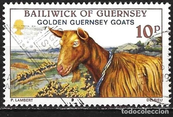 Sellos: Guernez 1980 - Mi 210 - YT 205 - Fauna : La Cabra Golden