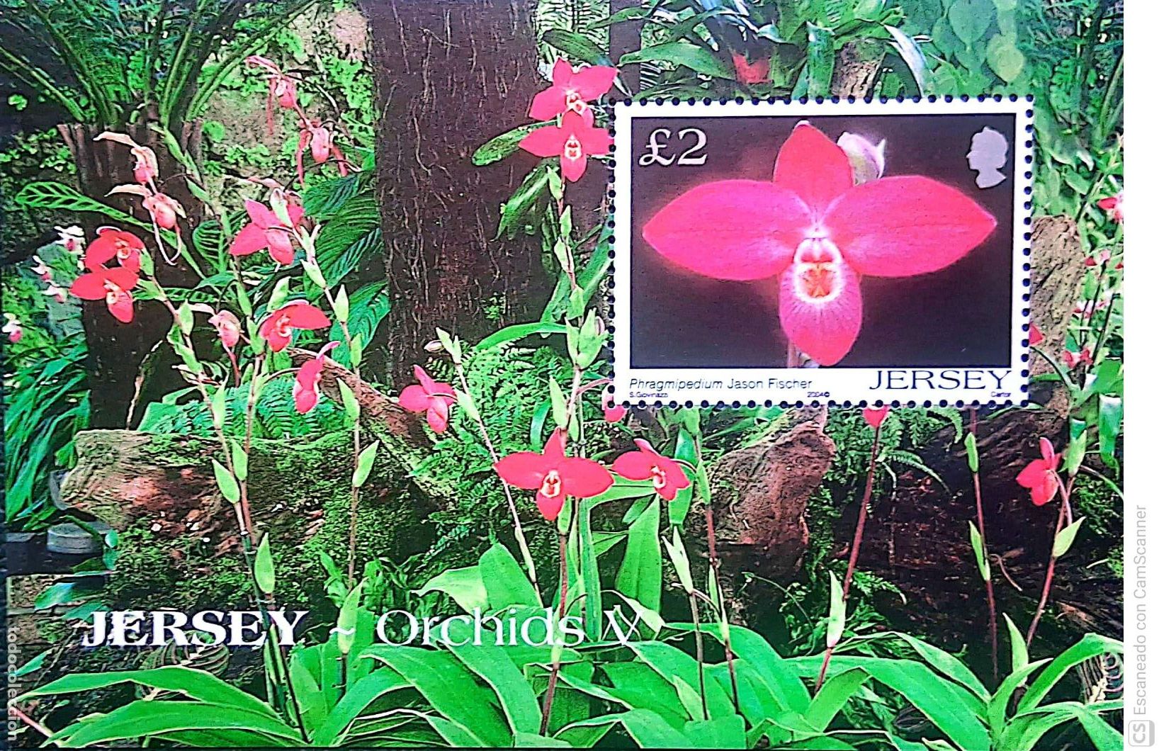 Sellos: Jersey HB 54 Flora: Orqu&iacute;deas. 2004, Sellos nuevos y numeraci&oacute;n Yvert.