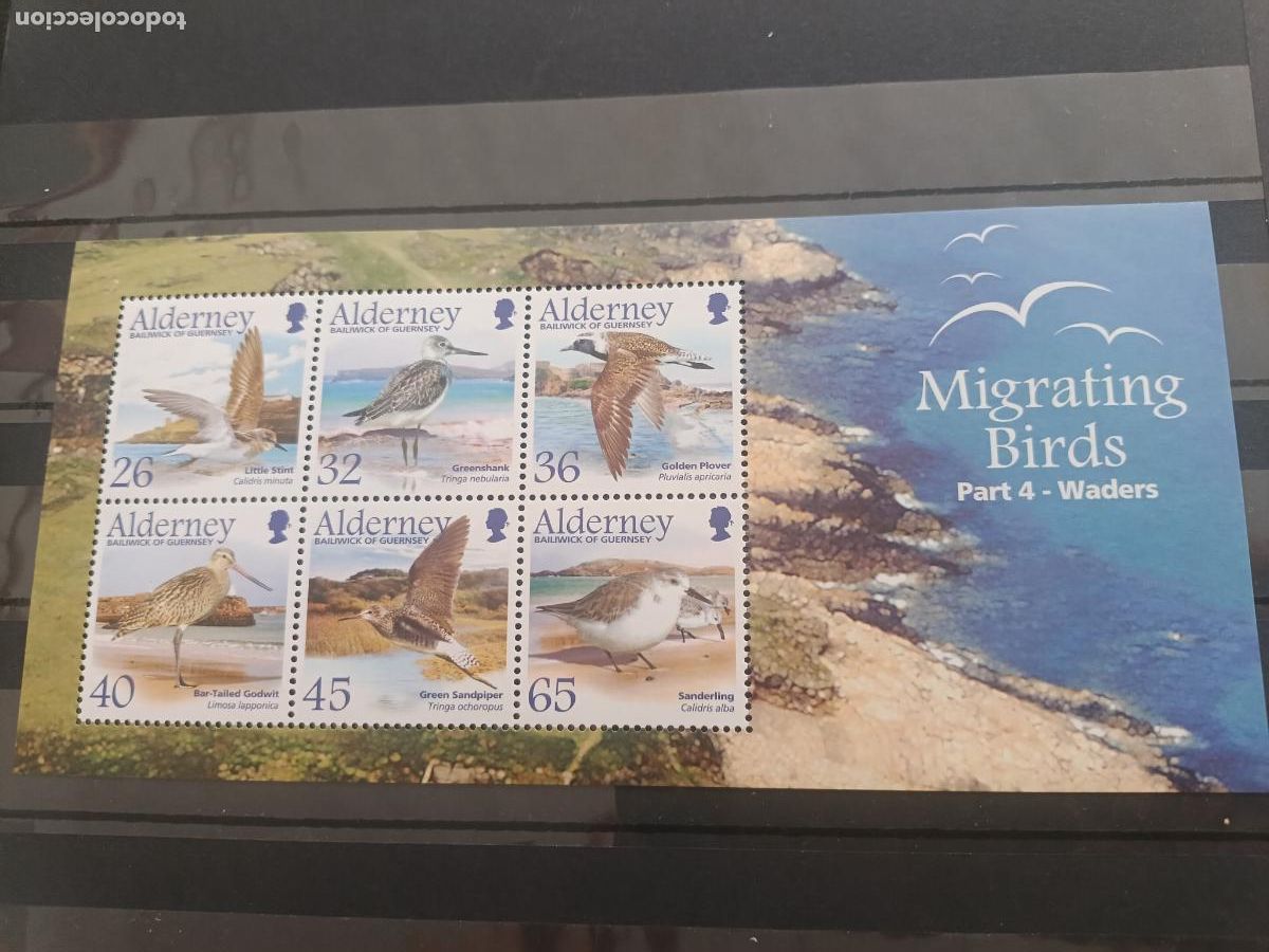 Sellos: Alderney, Reino Unido. Hojita nueva de aves migratorias