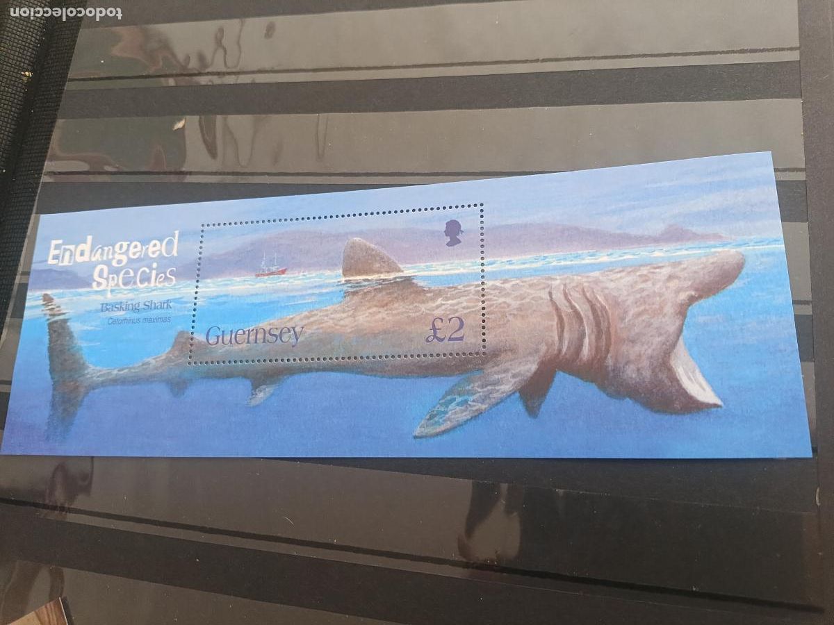 Sellos: Alderney, Guernsey, Reino Unido. Hojita nueva, especies amenazadas, tibur&oacute;n peregrino