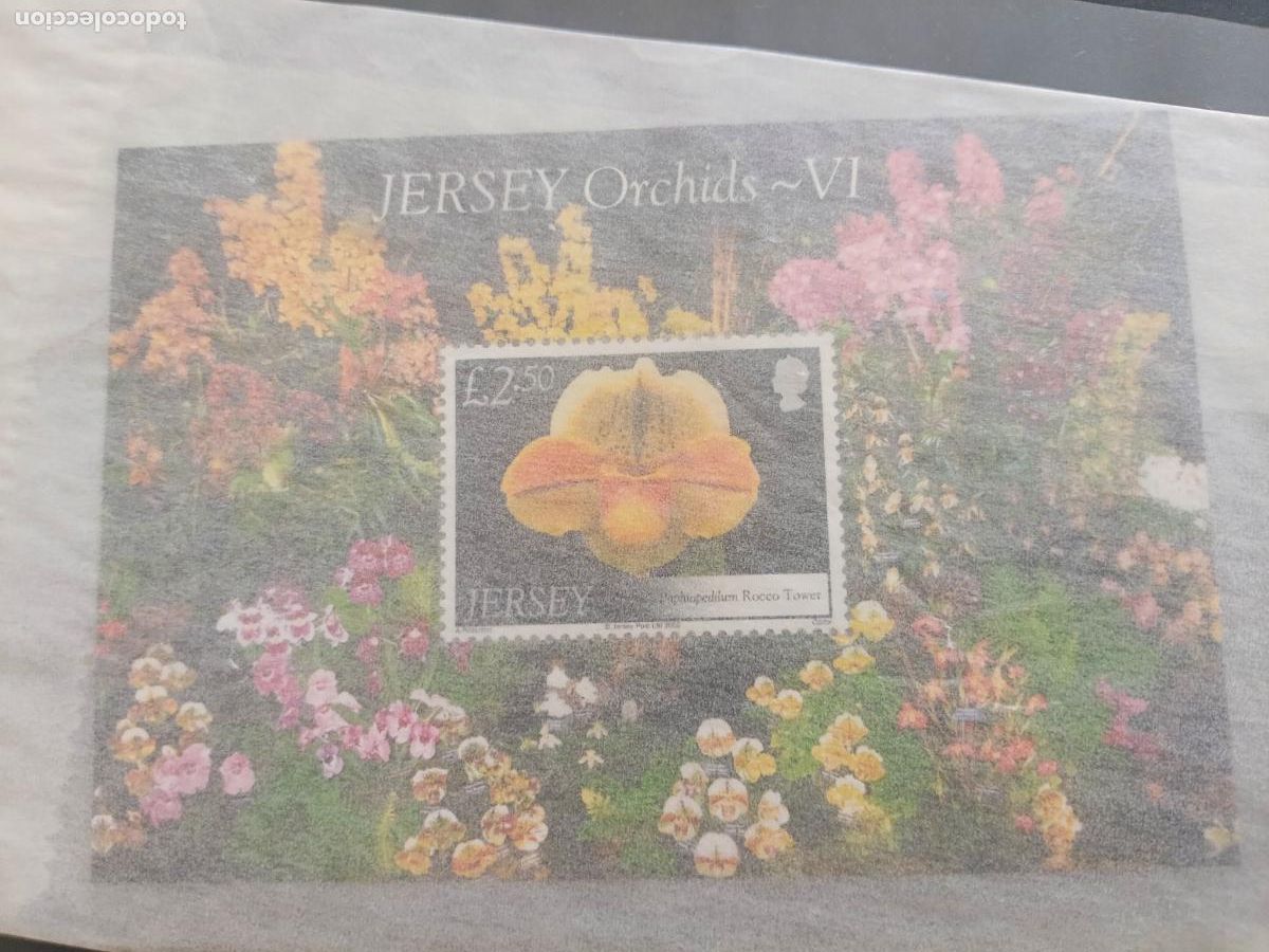 Sellos: Jersey, Orqu&iacute;dea, orqu&iacute;deas, Orchids -VI. Hojita nueva