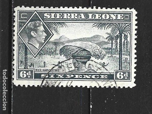 Stamps: SIERRA LEONA COLONIA BRITANICA YVERT NUM. 165 USADO