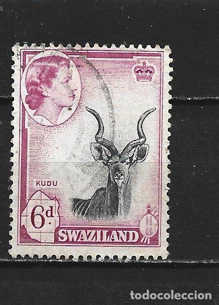 Stamps: SWAZILAND COLONIA BRITANICA YVERT NUM. 60 USADO