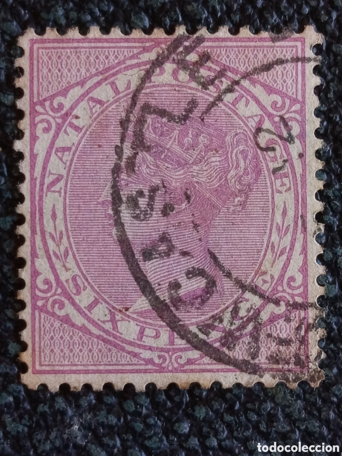 Sellos: Sello Natal 1874 Reina Victoria 6p Six Pence Violeta Usado Scott #71