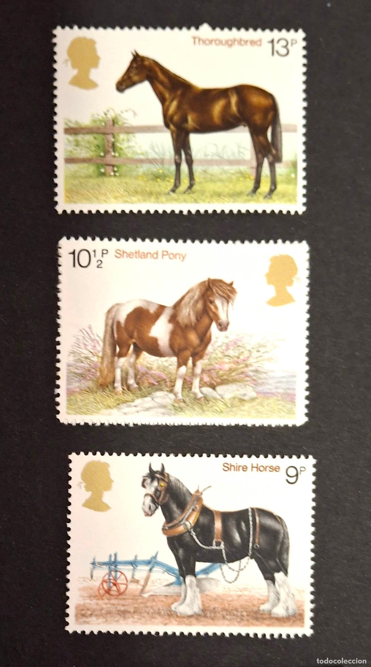 Sellos: 1978, 3 sellos del Reino Unido nuevos NMH ** Caballos