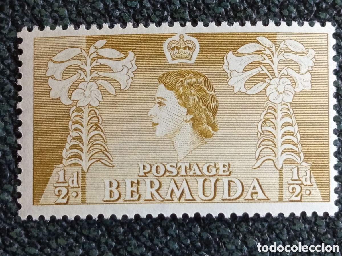 Sellos: Sello Bermuda 1953 Reina Isabel II Lirios de Pascua 1 1/2d Ocre Michel 137 MNH