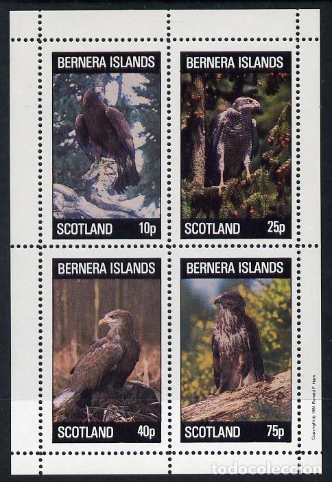 Sellos: GB LOCAL BERNERA 1981 SHEET MNH FAUNA BIRDS OF PREY RAPACES AVES DE PRESA OISEAUX DE PROIE RAPACI